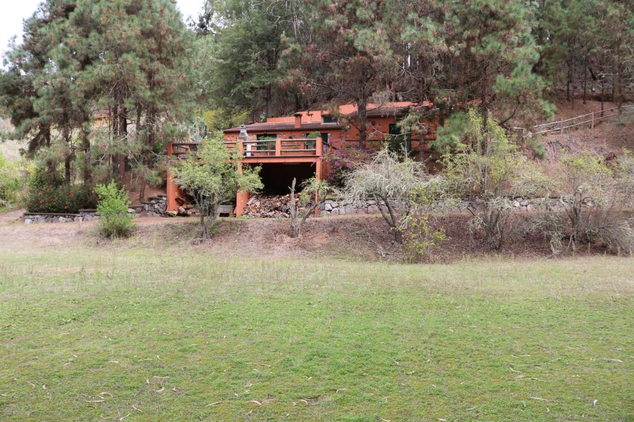 Casa Rural En Medio Del Bosque, El Lance Firgas Exterior photo